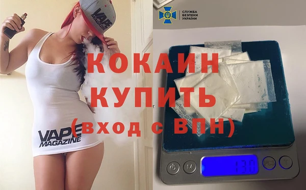 шишки Волосово